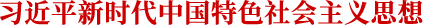 习近平新时代中国特色社会主义思想