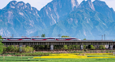 花开陌上 一路生香