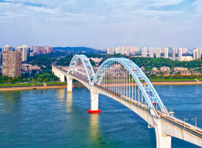 向光而行，花开满途