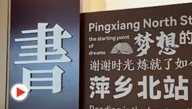 文韵伴旅途 丹青润萍城