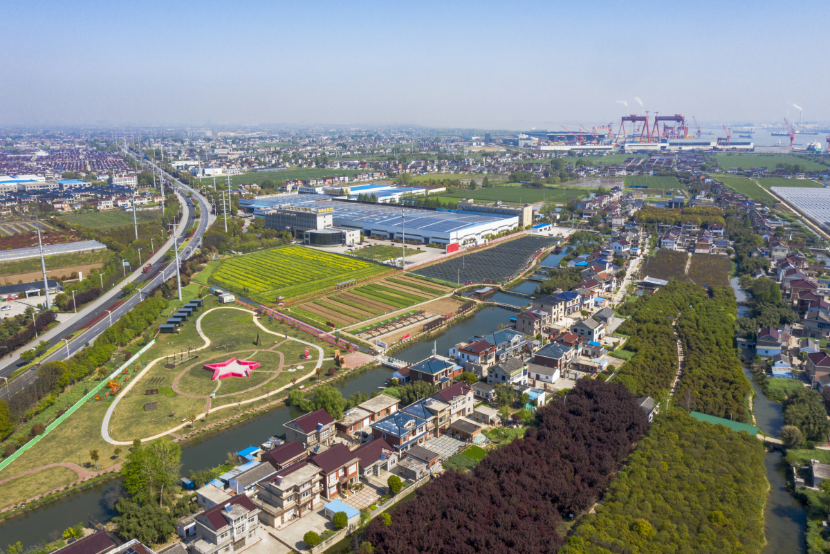 美翻了我的村第64期 | 江苏省扬中市利民村:奏响文明曲 绽放幸福花---中国文明网